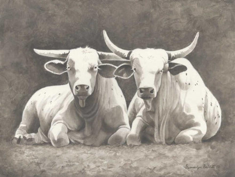 Two White Bulls White Modern Wood Framed Art Print with Double Matting by Babbitt, Gwendolyn