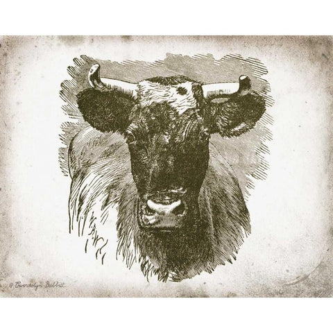 Cow Face I Black Modern Wood Framed Art Print with Double Matting by Babbitt, Gwendolyn