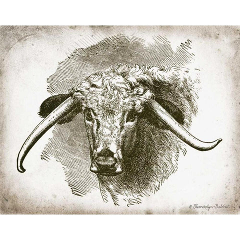 Cow Face II Gold Ornate Wood Framed Art Print with Double Matting by Babbitt, Gwendolyn