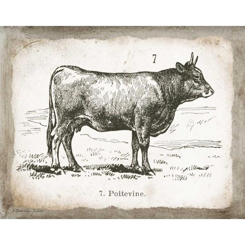 French Cow I Black Modern Wood Framed Art Print with Double Matting by Babbitt, Gwendolyn