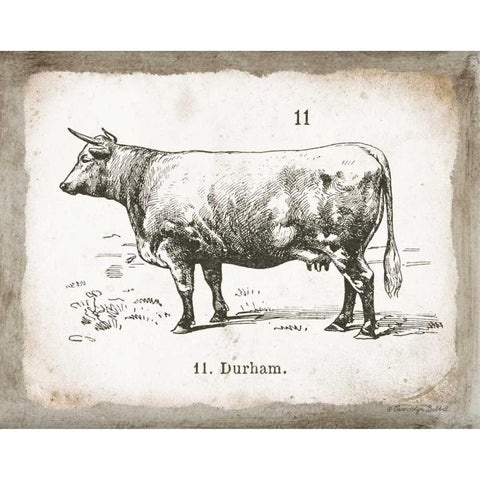 French Cow II White Modern Wood Framed Art Print by Babbitt, Gwendolyn