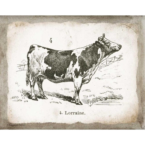 French Cow III Black Modern Wood Framed Art Print with Double Matting by Babbitt, Gwendolyn