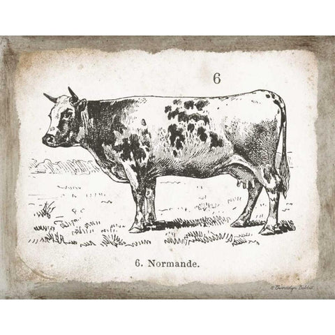 French Cow IV White Modern Wood Framed Art Print by Babbitt, Gwendolyn