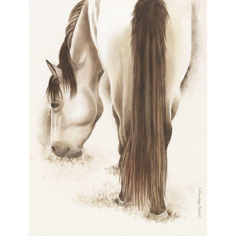 Lovely White Horse Black Modern Wood Framed Art Print with Double Matting by Babbitt, Gwendolyn