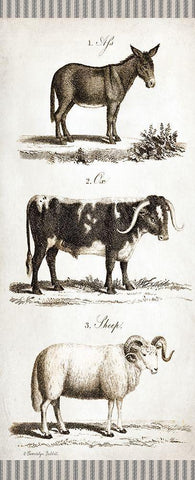 Burro, Cow, Sheep Black Ornate Wood Framed Art Print with Double Matting by Babbitt, Gwendolyn