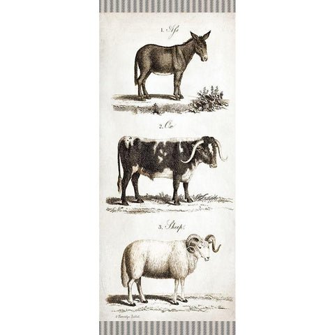 Burro, Cow, Sheep Black Modern Wood Framed Art Print with Double Matting by Babbitt, Gwendolyn