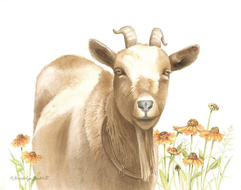 Daisy Goat White Modern Wood Framed Art Print with Double Matting by Babbitt, Gwendolyn