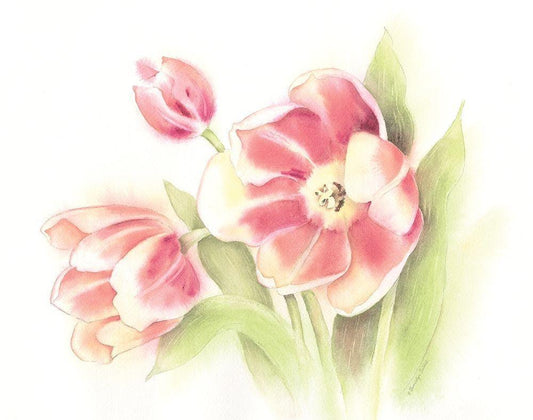 Image Only