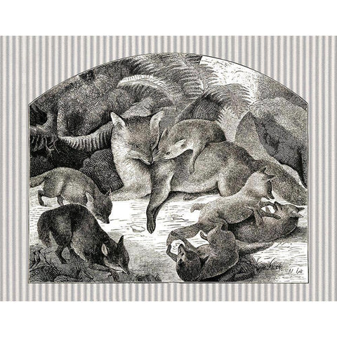 Fox Mom and Cubs White Modern Wood Framed Art Print by Babbitt, Gwendolyn