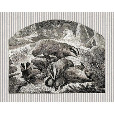 Badger Mom and Cubs Gold Ornate Wood Framed Art Print with Double Matting by Babbitt, Gwendolyn