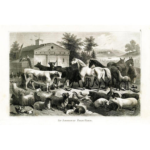 1800s Farm Animal Chart Black Modern Wood Framed Art Print with Double Matting by Babbitt, Gwendolyn