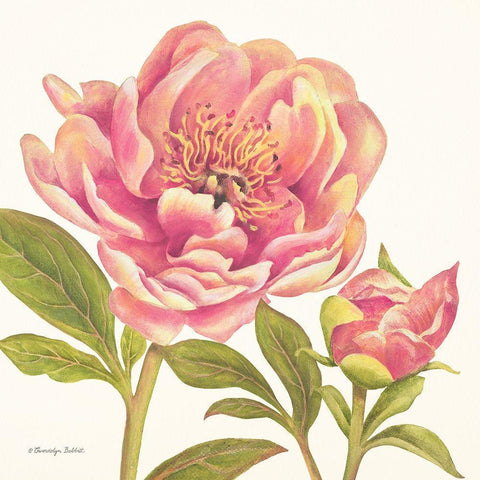 Pink Peonies I Gold Ornate Wood Framed Art Print with Double Matting by Babbitt, Gwendolyn