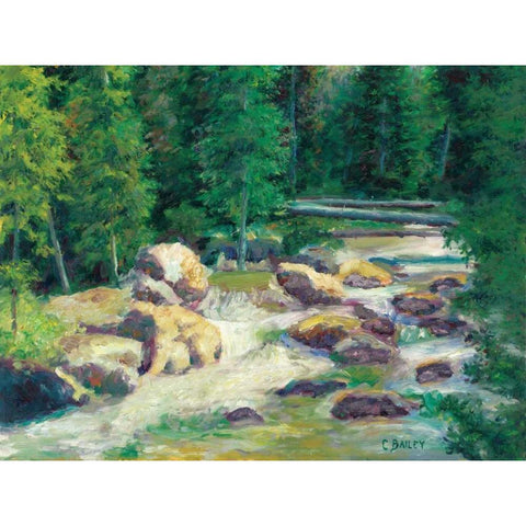 Cascading Stream Gold Ornate Wood Framed Art Print with Double Matting by Bailey, Carol