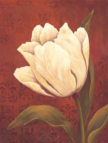 Tulip on Red White Modern Wood Framed Art Print with Double Matting by Belamar, Ella