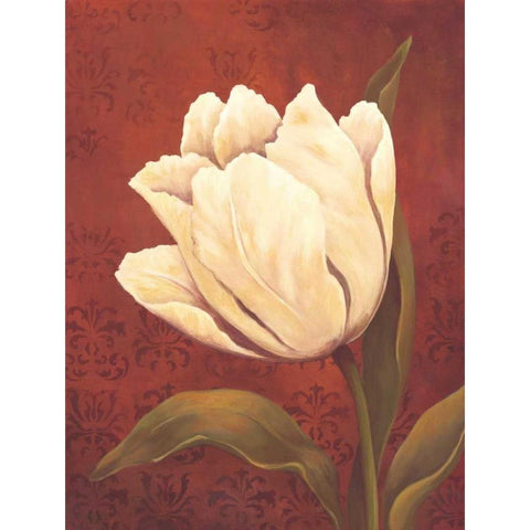 Tulip on Red Black Modern Wood Framed Art Print with Double Matting by Belamar, Ella