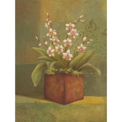 Orchids I White Modern Wood Framed Art Print by Belamar, Ella