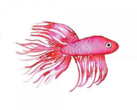 Deep Sea Pink Fish White Modern Wood Framed Art Print with Double Matting by Berrenson, Sara