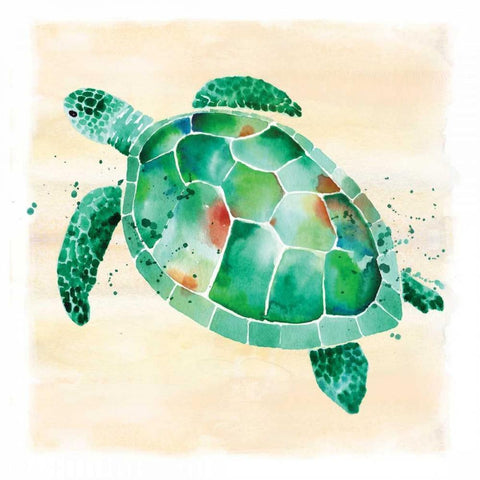 Sea Turtle White Modern Wood Framed Art Print by Berrenson, Sara