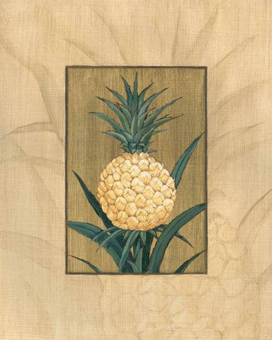 Sugar Loaf Pineapple White Modern Wood Framed Art Print with Double Matting by Brent, Paul