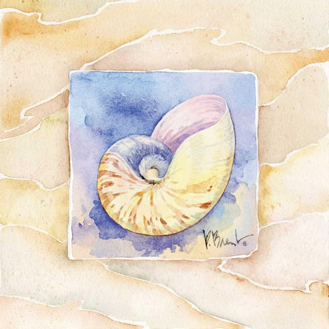 Nautilus White Modern Wood Framed Art Print by Brent, Paul