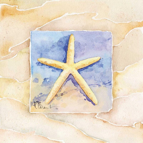 Starfish White Modern Wood Framed Art Print with Double Matting by Brent, Paul