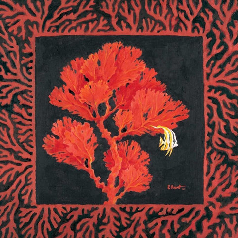 Sea Fan II Black Modern Wood Framed Art Print with Double Matting by Brent, Paul