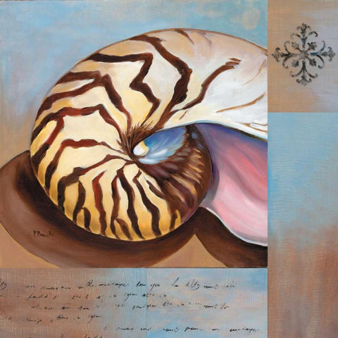 Sanibel Nautilus White Modern Wood Framed Art Print with Double Matting by Brent, Paul