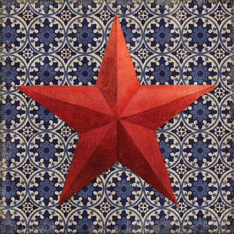 American Star I Black Modern Wood Framed Art Print by Brent, Paul