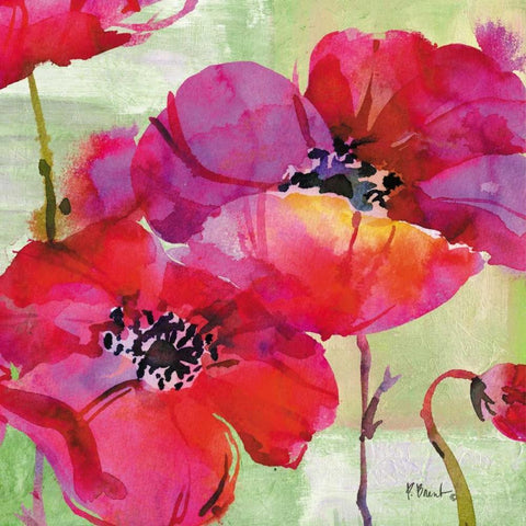 Amalfi Poppies White Modern Wood Framed Art Print by Brent, Paul