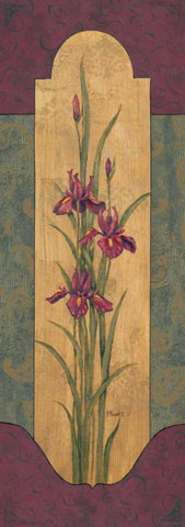 Greek Iris II Black Ornate Wood Framed Art Print with Double Matting by Brent, Paul