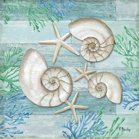 Clearwater Shells II Black Ornate Wood Framed Art Print with Double Matting by Brent, Paul