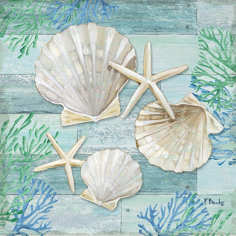 Clearwater Shells IV White Modern Wood Framed Art Print by Brent, Paul