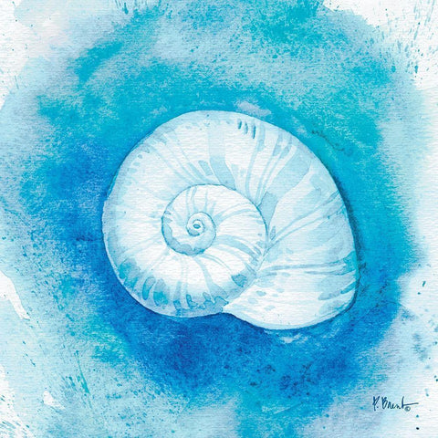 Aqueous Shells IV White Modern Wood Framed Art Print by Brent, Paul