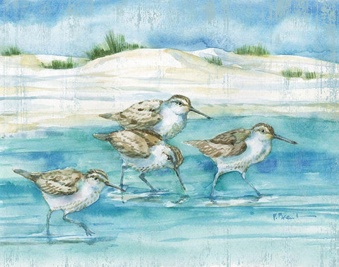 Sandy Sandpipers I White Modern Wood Framed Art Print with Double Matting by Brent, Paul