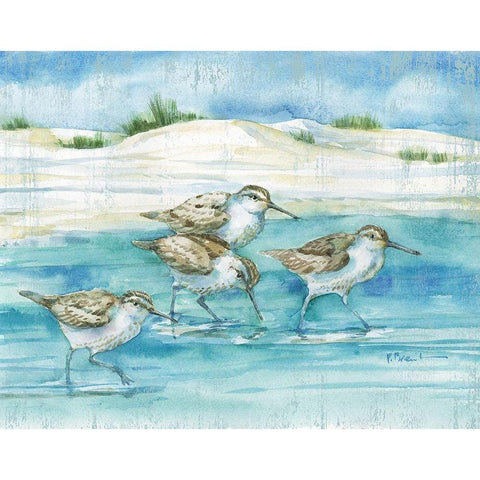 Sandy Sandpipers I Black Modern Wood Framed Art Print with Double Matting by Brent, Paul