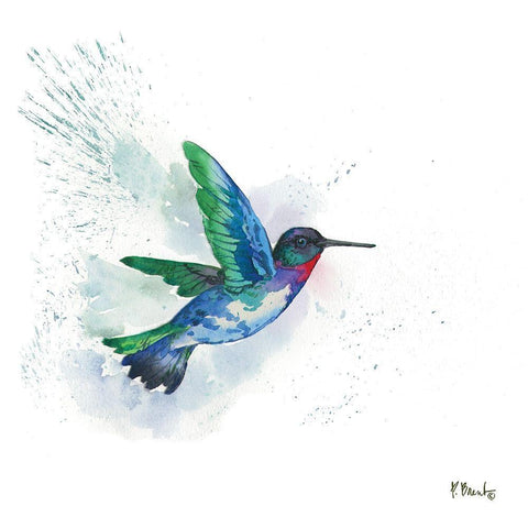 Arianna Hummingbird I White Modern Wood Framed Art Print with Double Matting by Brent, Paul