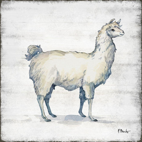 Farmhouse Llama I White Modern Wood Framed Art Print with Double Matting by Brent, Paul