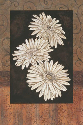 Santorini Daisies Black Ornate Wood Framed Art Print with Double Matting by Brent, Paul