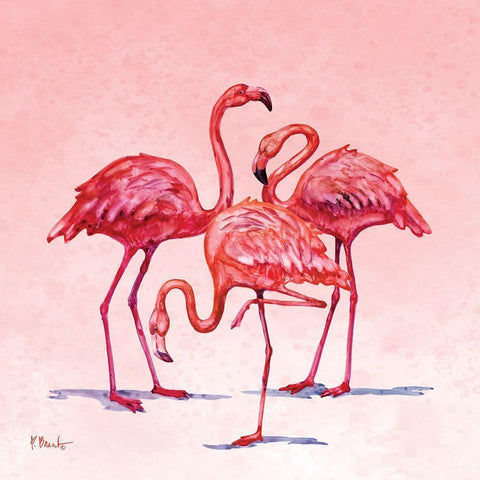 Hilo Flamingos II Black Modern Wood Framed Art Print with Double Matting by Brent, Paul