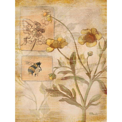 Flora Bumble Bee White Modern Wood Framed Art Print by Brent, Paul