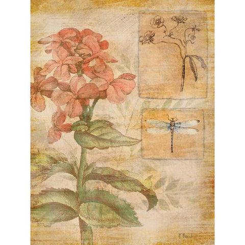 Flora Dragonfly Gold Ornate Wood Framed Art Print with Double Matting by Brent, Paul