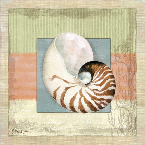 Montego Nautilus Black Modern Wood Framed Art Print with Double Matting by Brent, Paul