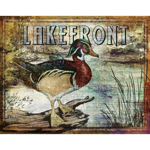 Duck Sign II Gold Ornate Wood Framed Art Print with Double Matting by Brent, Paul