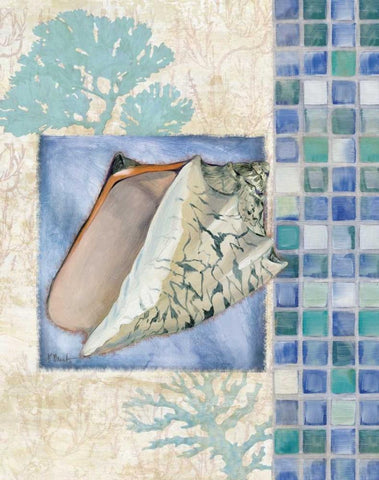 Mosaic Shell Collage III White Modern Wood Framed Art Print with Double Matting by Brent, Paul