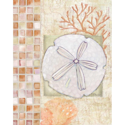 Mosaic Shell Collage IV White Modern Wood Framed Art Print by Brent, Paul