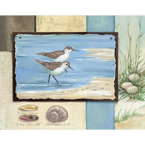 Sandpiper Collage I Gold Ornate Wood Framed Art Print with Double Matting by Brent, Paul