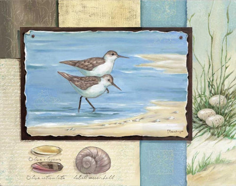 Sandpiper Collage I Black Ornate Wood Framed Art Print with Double Matting by Brent, Paul