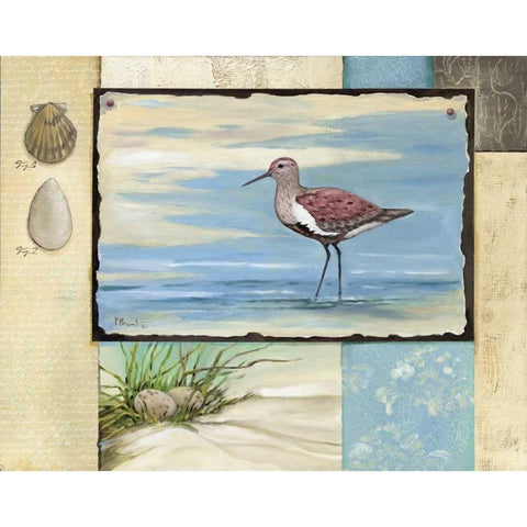 Sandpiper Collage II Black Modern Wood Framed Art Print with Double Matting by Brent, Paul