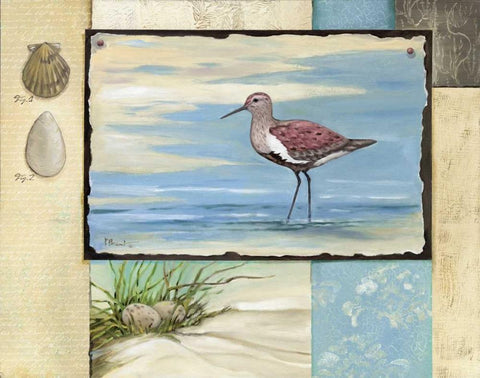 Sandpiper Collage II Black Ornate Wood Framed Art Print with Double Matting by Brent, Paul