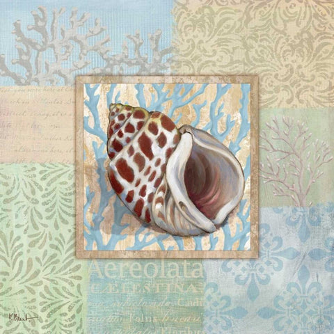 Oceanic Shell Collage I White Modern Wood Framed Art Print by Brent, Paul